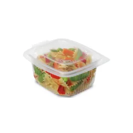 50 Barquettes Rectangle Ondipack avec couvercle 500g