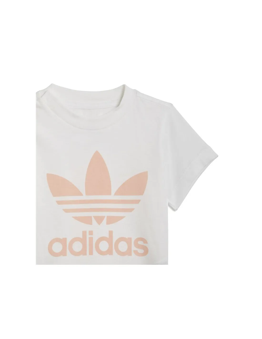 ENSEMBLE TEE COURT